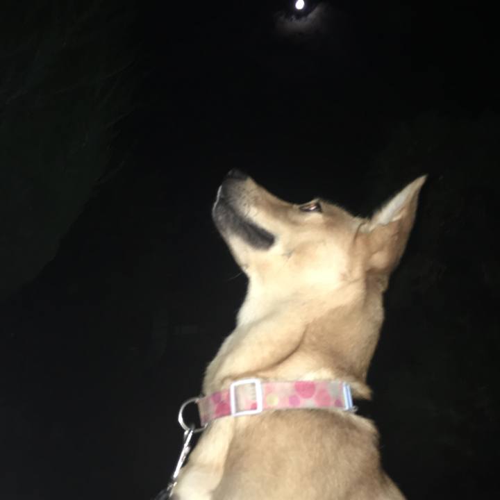 47a2fcfd e4e5 4045 91ce d46ab2fe8949