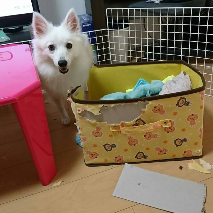 47a3dddc 0149 486f b34c a2e4dff6b3f3