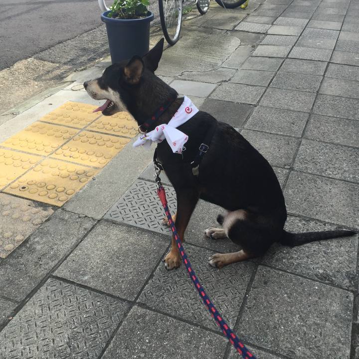 47a4517a 7907 451b 8b40 6fc89e9a0f3c