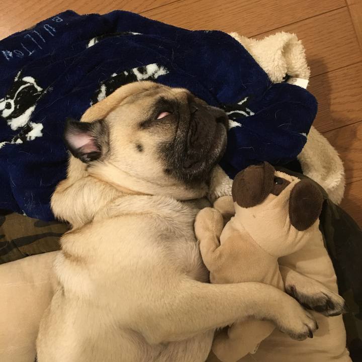 47a58664 5796 4d96 a3ec 88d78d0a22a3