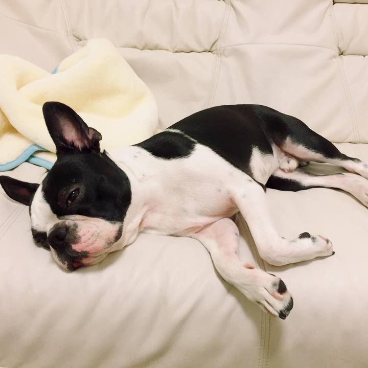 47a5d31c 54ab 4e82 ad82 e064feb34a76