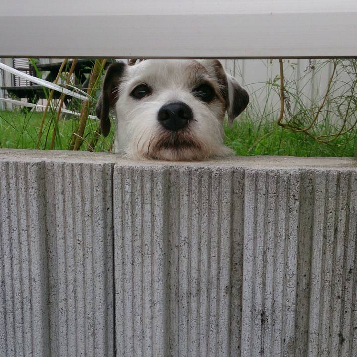 47a5fee0 6a93 49d8 ab2e 71196e68078b