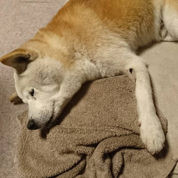 47a64736 4c4a 4f1c 9da0 6685ac856eeb