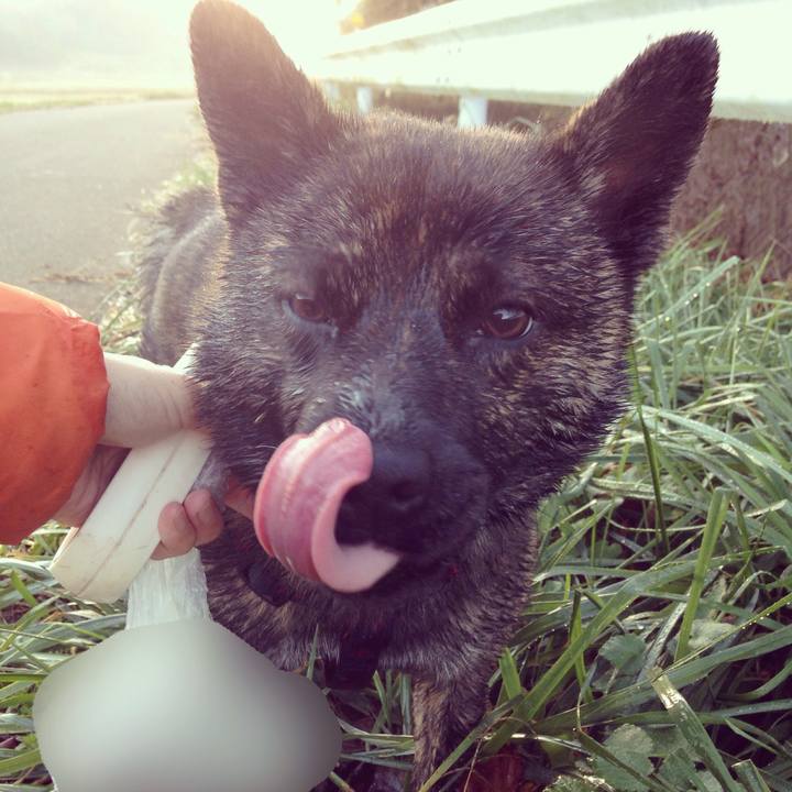 47a6cfcd e14e 40d9 a166 53809f8513ee