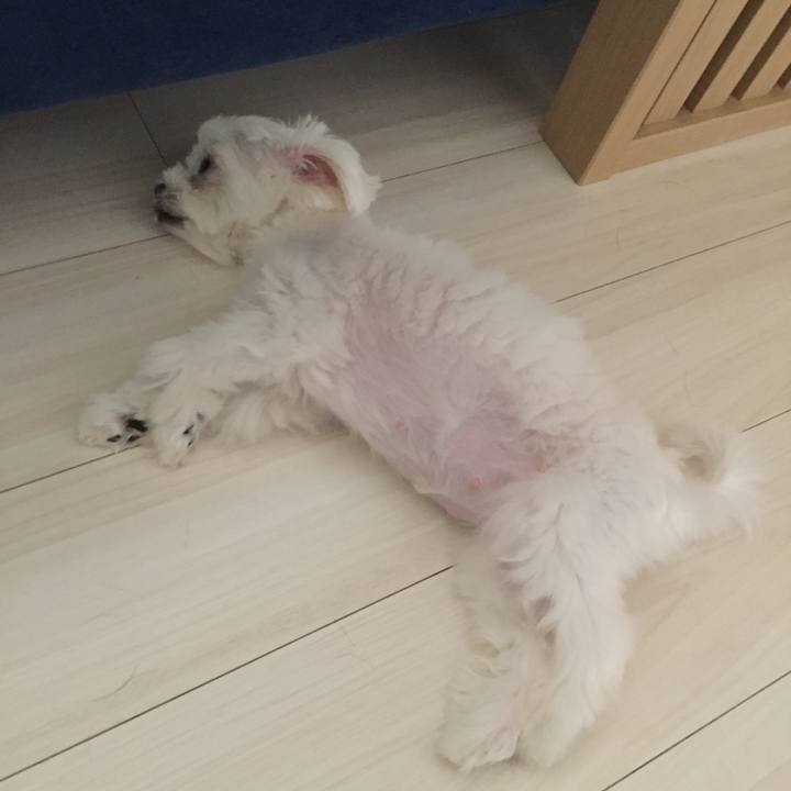 47a7d3b9 af5c 47ac 8682 d58f2d88baf6