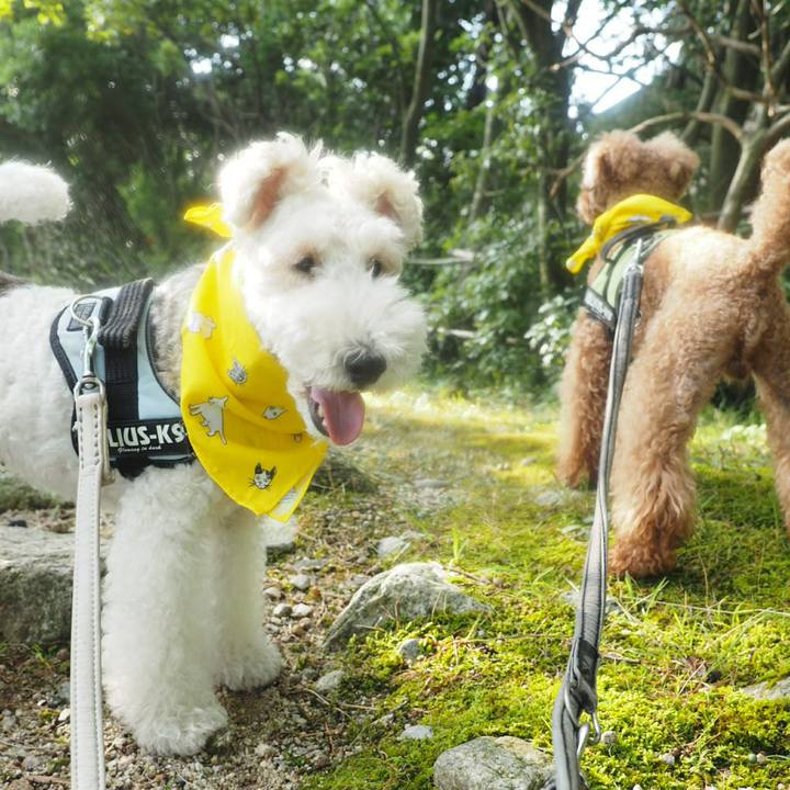 47a83dd5 6541 48eb a38a 120ab0202bcb