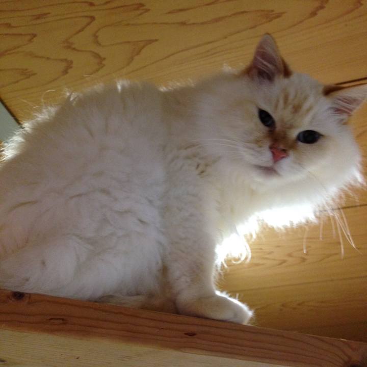 47a92ec4 211a 4565 bda7 00a7df8f8065