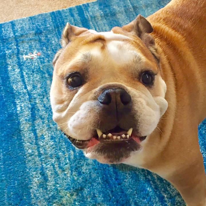 47a94060 ae2e 4b29 a219 55baa0d42a0c