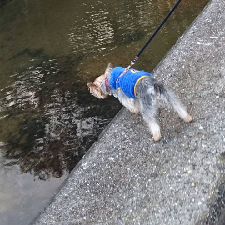 47a940d5 d49e 4775 8218 6c3656c5a0c5