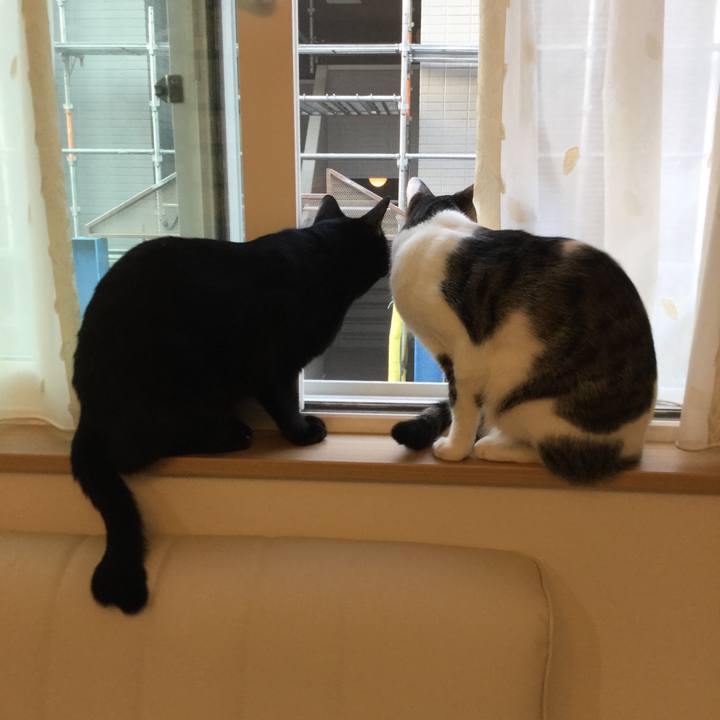 47a98139 d02e 403b bf76 1337eab233c6