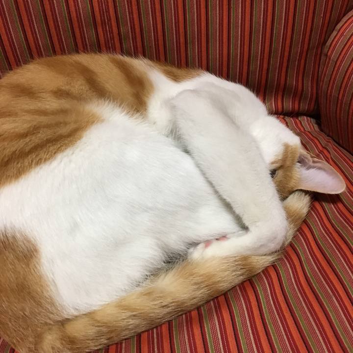 47a9af9c 07dd 43f7 8f40 965f499b4ebc