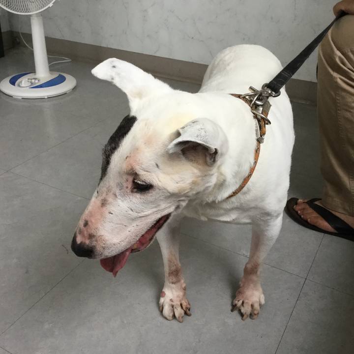 47a9fa29 5a12 40b4 9aa8 cd67194b0cab