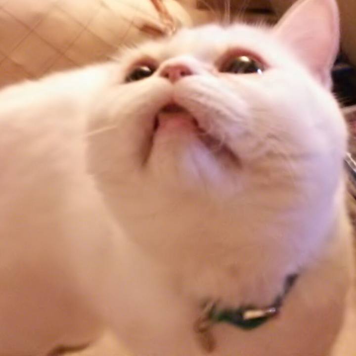 47aa0742 4e91 407a 944b 64935061a15c