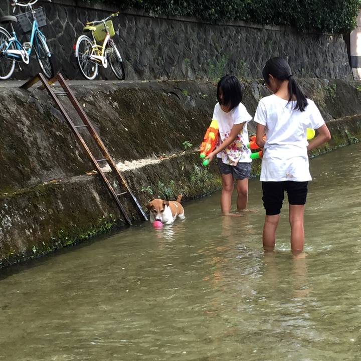 47aa3ace 2a62 4494 8a77 aad5604b2b25