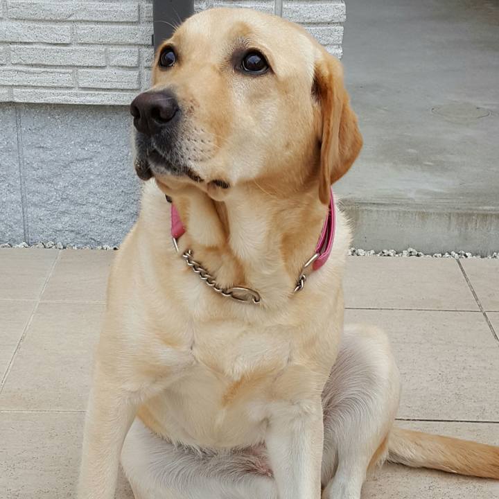 47aa49d5 087d 467f a6bd c0344f896e5f