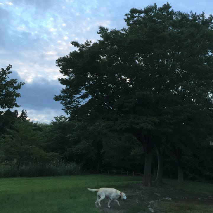 47aa5e53 c21a 49e2 a6e6 26bb11a58dd1