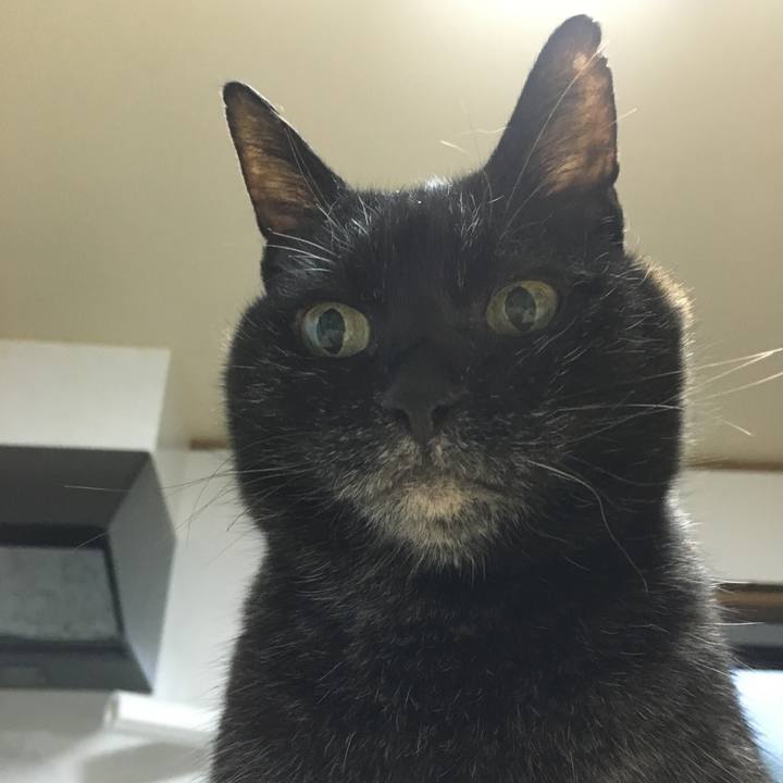 47ab061f 23dd 4b1f 83df 86681822c616