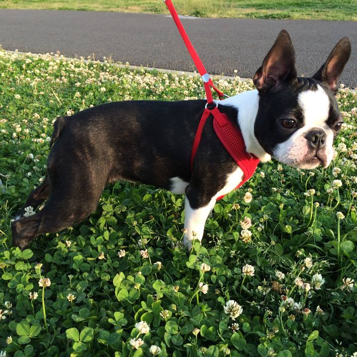 47ab2aa5 f515 4d09 8c76 61c46f57334b