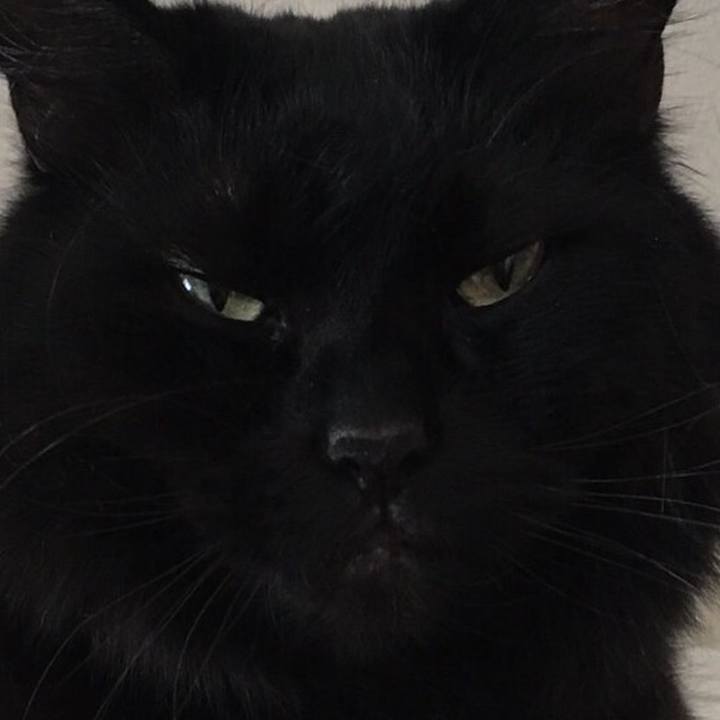 47ab7d0f af0b 45ea b42e d92b5e72a2da