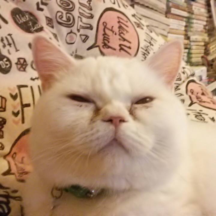 47ac346e 9ba6 4b06 89a5 873b8eb5fb0c