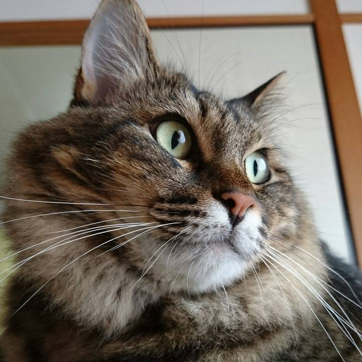 47ace91d e516 4e14 b7ae 8ef6817b9d95