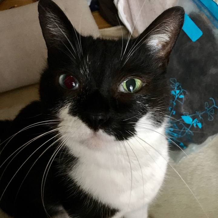 47acef5d bc59 4af4 80e2 a024504d1df5