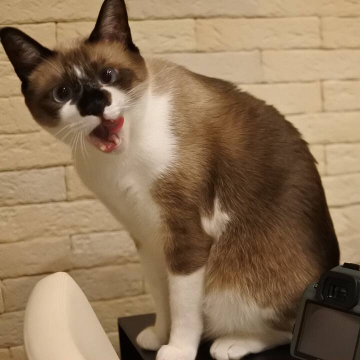 47ad22db 849a 4f0e 817c 6090c7d6a2e0