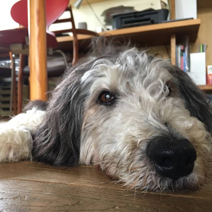 47adbb17 3da0 4bcf b802 80e8705c91c7