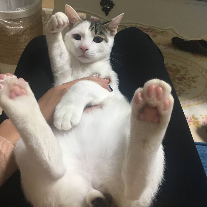 47ae00d2 8e6d 4adb b40f 5e5ba6b13b5d