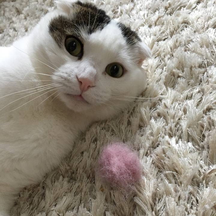 47aeb4a5 d142 4852 857f c8694a4683e9