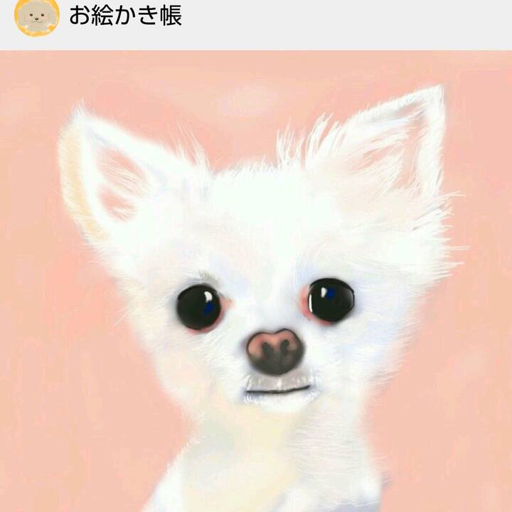 47af1228 ab10 4245 a0ef 0cf72f9a6d01