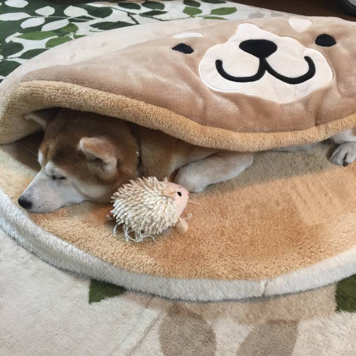 47af2e5f 00b5 4070 aaf2 b163bade02eb