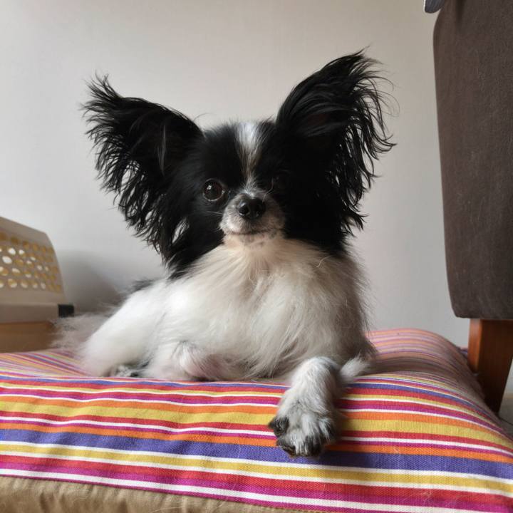 47af4dbb 19f5 4bb9 ad27 4ed793fb38af