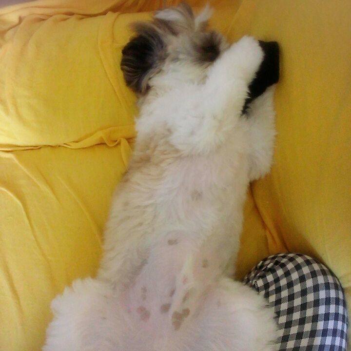 47af8103 d6ca 4fe2 843c 68a44f7cbed0