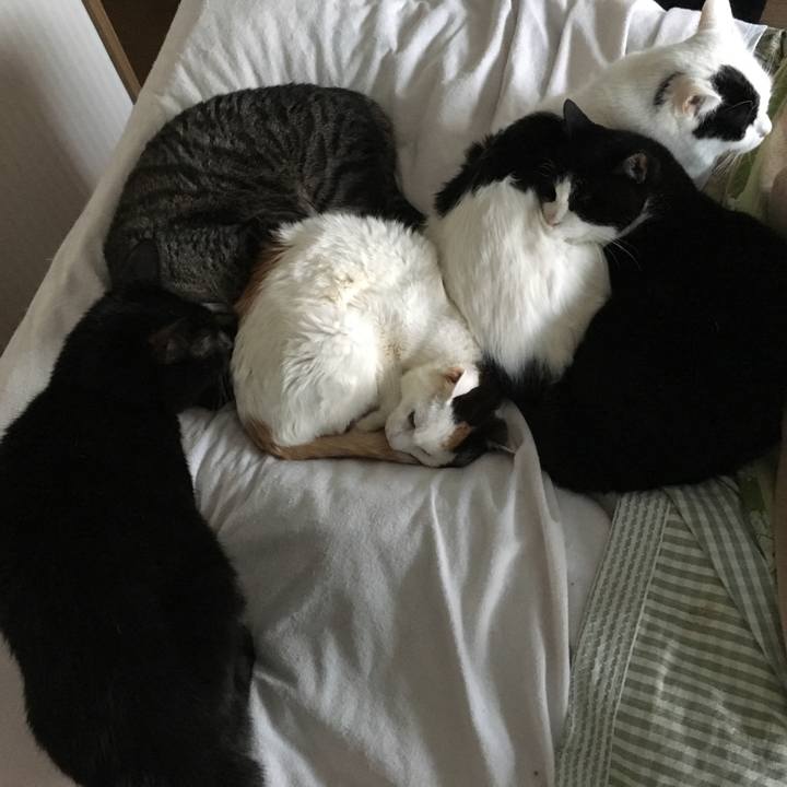 47afad08 f8e0 4a7a 8abc 082c6a396961