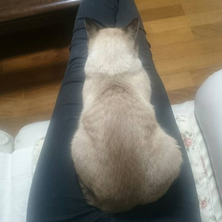 47b05d4f a9c9 4ba9 97ab a7f8cd8a90bb