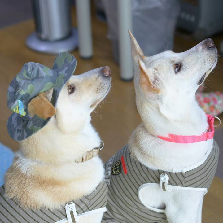 47b0aade c025 4da2 b0e3 11da5eb5806c