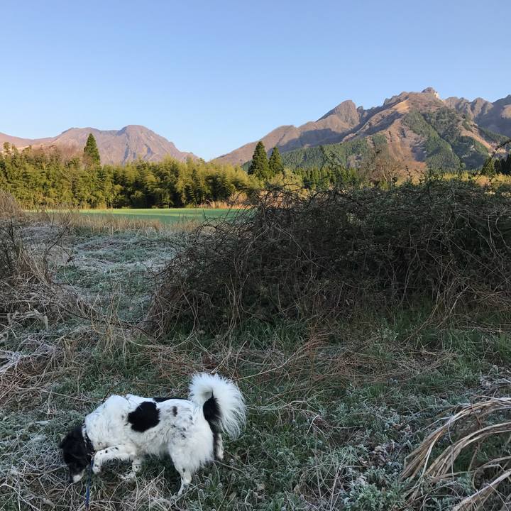 47b0ad80 d693 421c 8cda 55d9eb2683d4