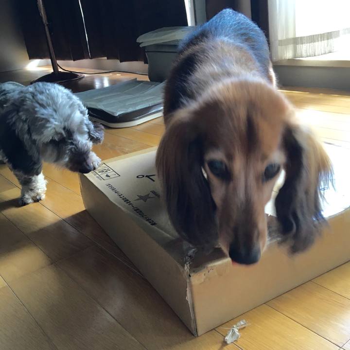 47b0d056 be81 41b1 a3a0 a9f44956eaa7