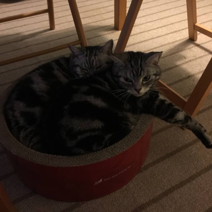 47b1348d 8246 4cf1 b2b4 e766c5fd2d33