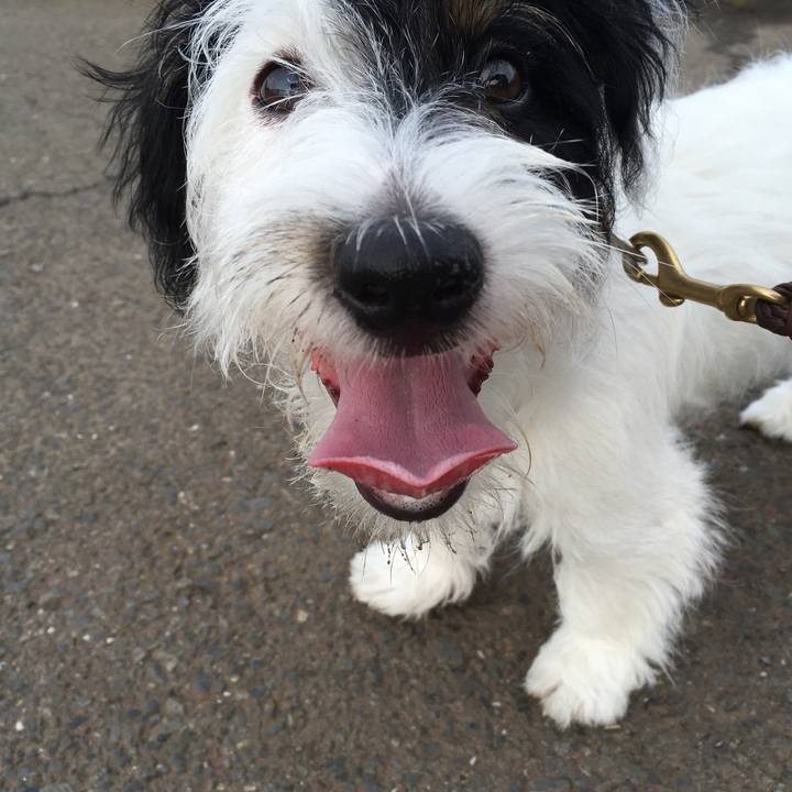 47b1a841 d954 4b32 9936 84011ade98a4