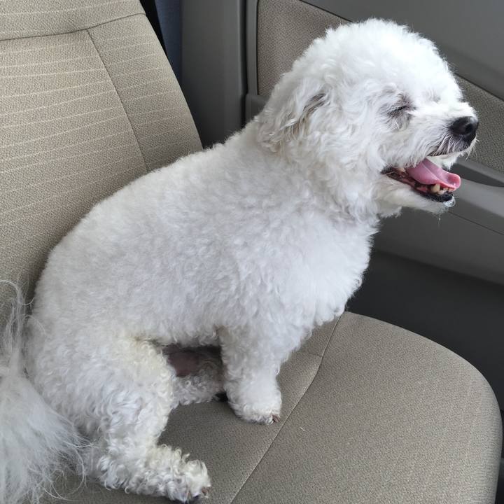 47b1c140 0726 41af a39e 5dad126ac422