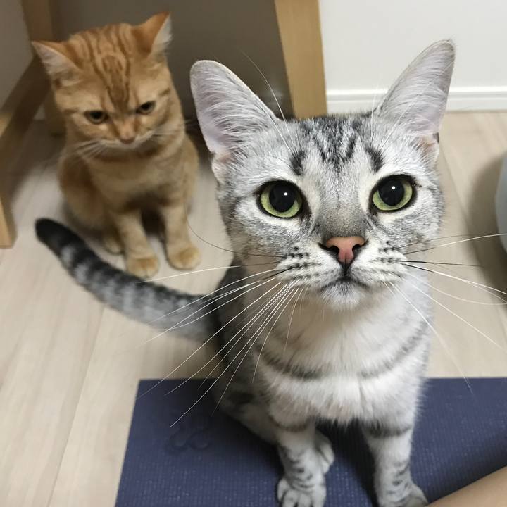 47b253e6 eb93 4b74 9a6d a22d0c728f17