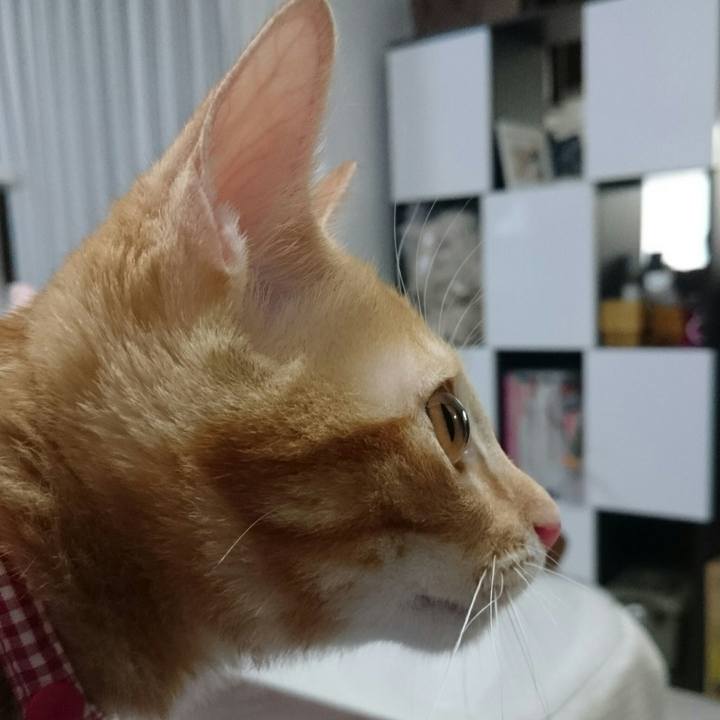 47b303ba 9608 4aed b224 dd41cc2f4ce6