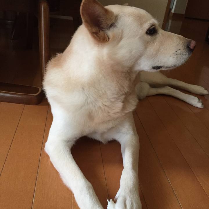 47b3a7c6 3cdb 4866 959a a0b62f80786c