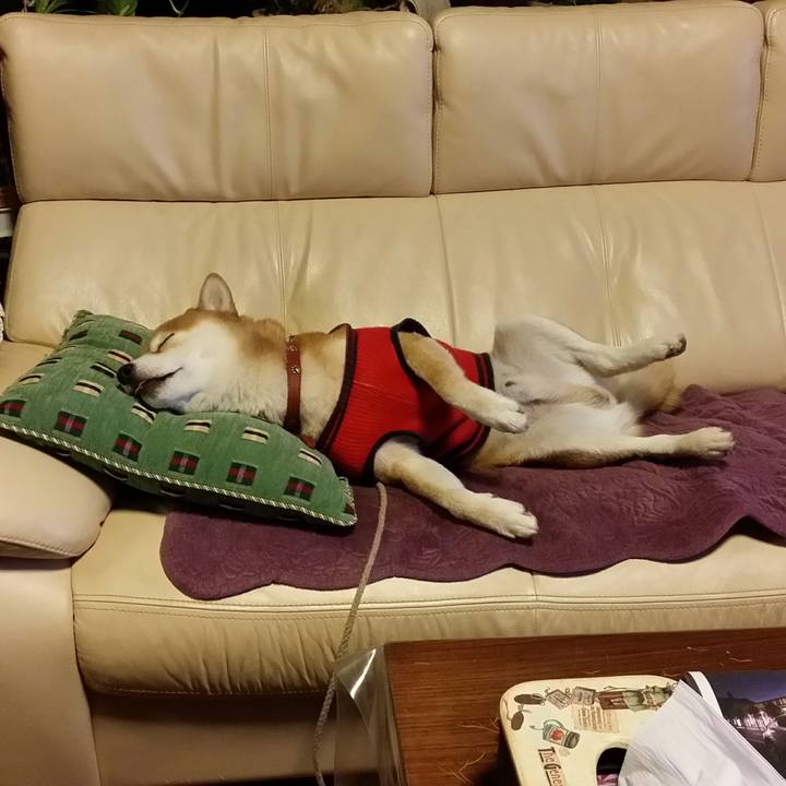 47b3f00f 9f1f 406e 9aa6 67fa619f9b75