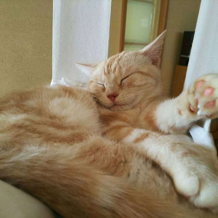 47b5b9cf deae 4066 a051 4b69336542fd