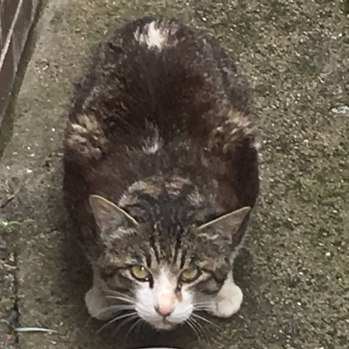 47b6444b 36b4 46d8 846f 67e8d260c745