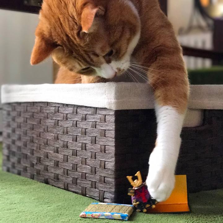 47b7af7b eb19 4cd3 a429 414d5ca0e7d9