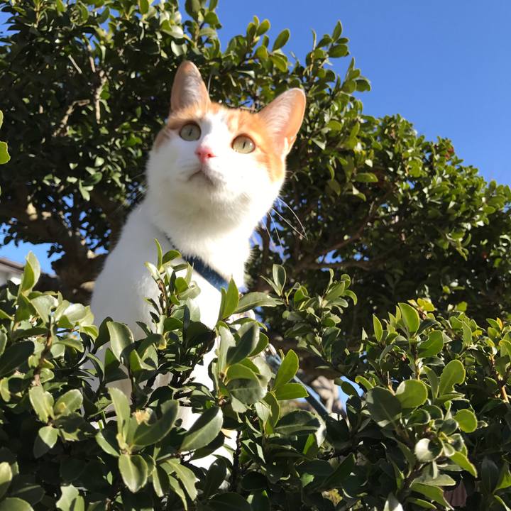 47b7e8e4 d3d2 4b59 a0f0 0549bdf21fe3